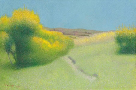 Paysage d'été