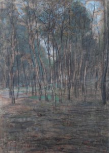 Berkenbosje (Small Birch Forest)