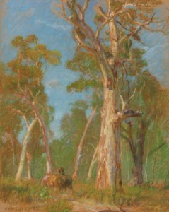 Sheep grazing under gum trees