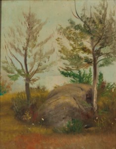 Rock and Trees