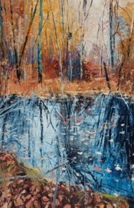 October Pond Reflections