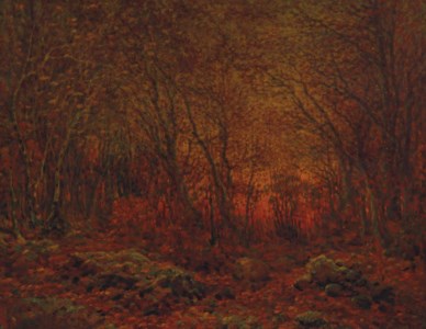 Woodland Sunset