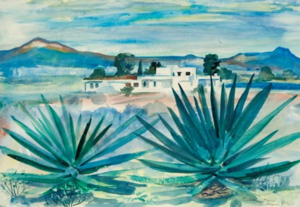 Tuscon, Arizona