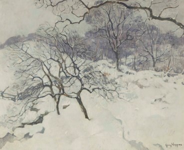 Winter in the country