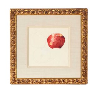 Apples