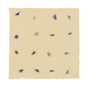 Untitled (Pocket Drawing)