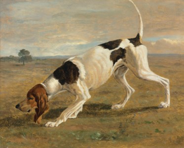 A pointer in a landscape