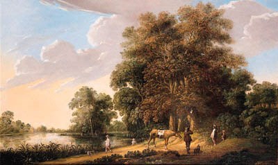 A falconry at the edge of a wood by a lake