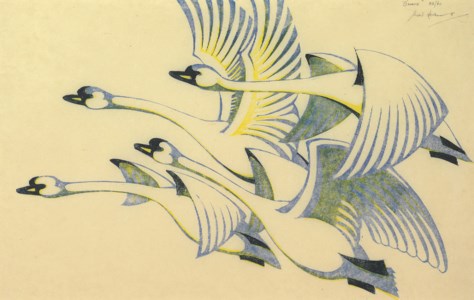 Swans (Coppel SA41)