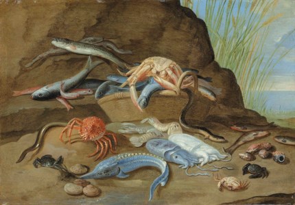 Fish and shellfish on a shore