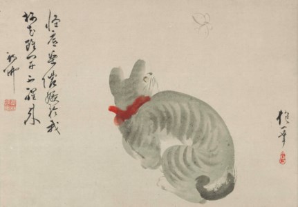 Cat and butterfly