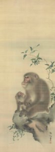 Monkeys