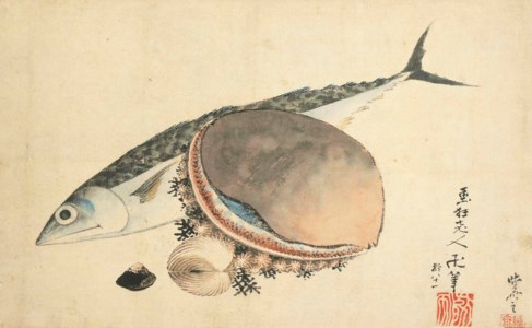 Mackerel and sea shells, 1840