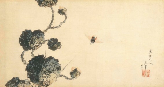 Horsefly and prickly water lily, 1840