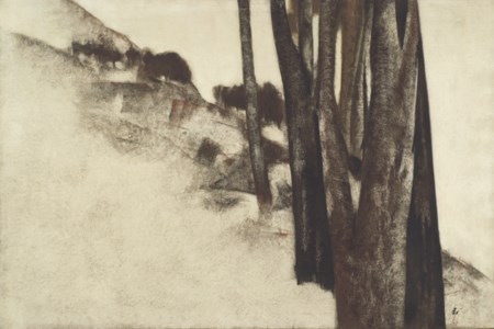 Untitled (from the Trees Series)
