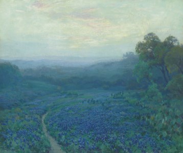 Path Through a Field of Bluebonnets