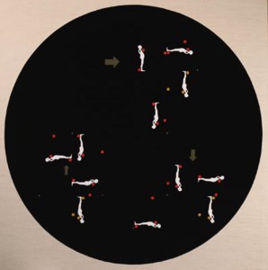 Study Falling Man: Circular Grid