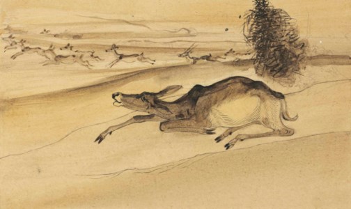 Untitled (Deer)