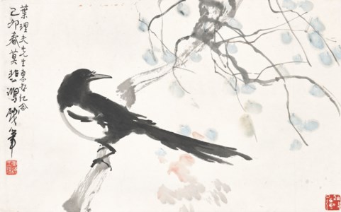 Magpie on Branch