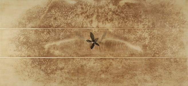 Terra d'Ombra