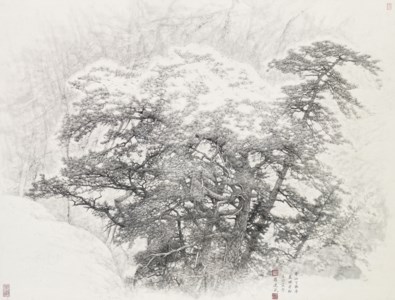Old Pine on the Cliff