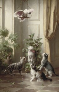 Cats and the cockatoo