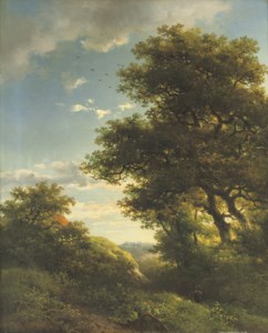 Walking through the forest
