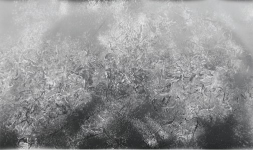Untitled (Snake Powder), 2005