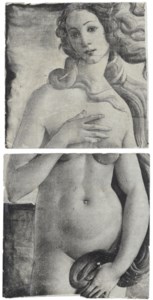 Botticelli- The Birth of Venus, 2001