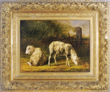 Sheep grazing in a landscape