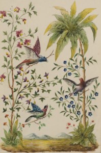 Un paysage exotique, trois colibris posés sur des branches au premier plan