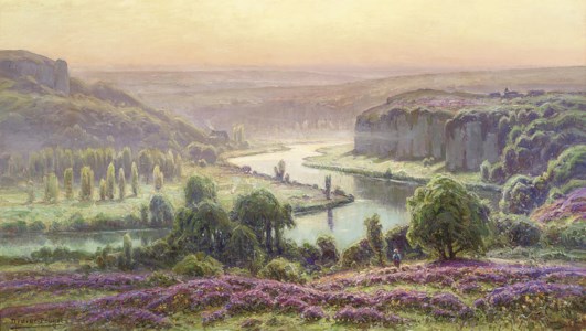 Bruyères en fleurs, le matin