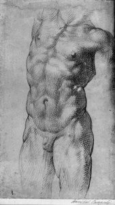 Study for a torso