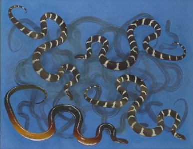King Snakes in Blue