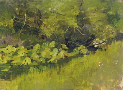 Lily Pads