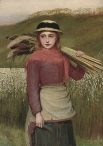 The reed cutter