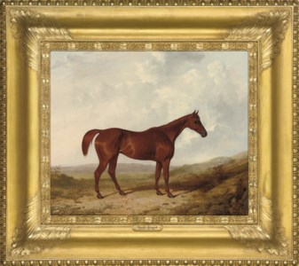 A chestnut hunter in a landscape