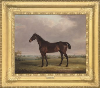 A bay hunter in a landscape