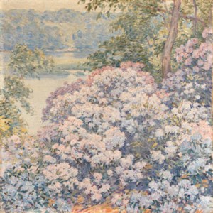Early Sping Flowers