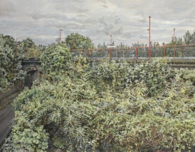 Railway Embankment-Summer
