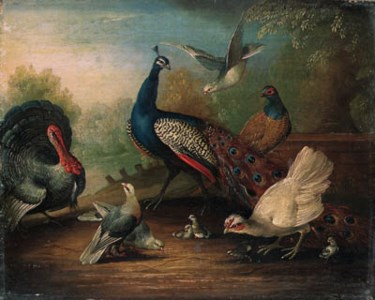 A Peacock, a Turkey, a Hen, Doves, Chicks and a Pheasant by a Lake