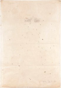Untitled (Eyes, Tears)