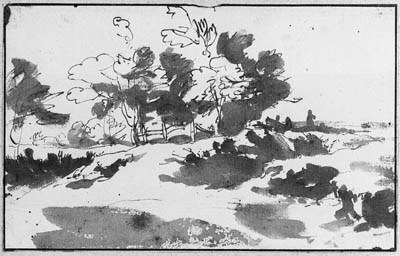A wooded Landscape ( recto ); A Study of a Man standing, wearing a robe ( verso )