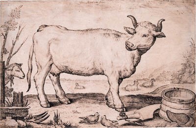 A Cow, a couple merrymaking beyond
