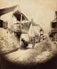 Florida. Circa 1886
