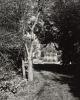 from The Home Place. 1947