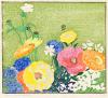 Garden Flowers