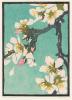 Almond Branch