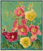 Hollyhocks