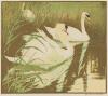 Swans